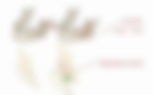 广州瑞港整形医院医院成立时间