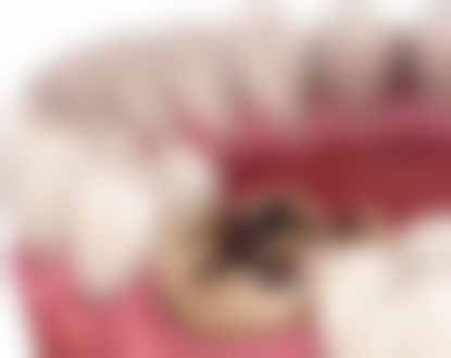 杭州牙科医院(临平城北分院)医院开展项目