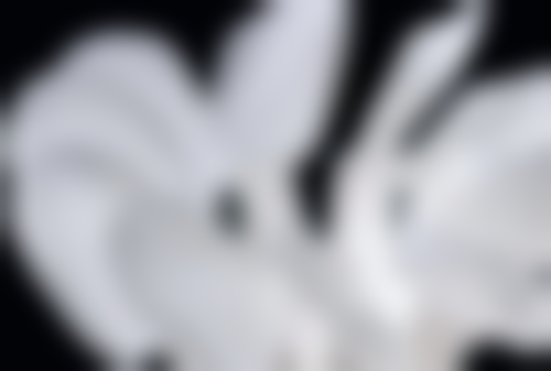 江苏淮安沈天士口腔医院顾客的口碑评价