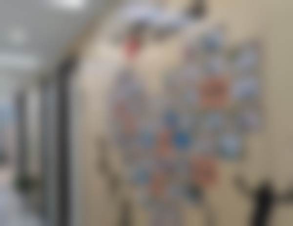 深圳正夫德士口腔门诊部（南山赛格店）医院项目价格