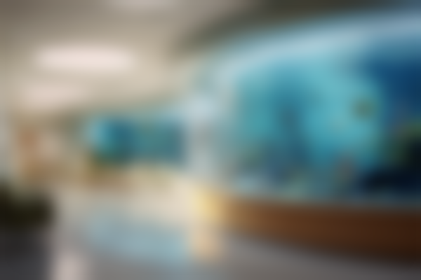 汕尾陆丰市林海洲口腔诊所