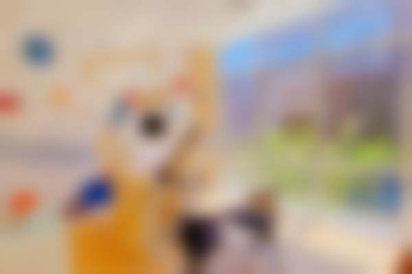 天津南开君诚口腔门诊部医院预约方式