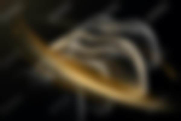 安阳殷都大树口腔门诊部医院营业时间