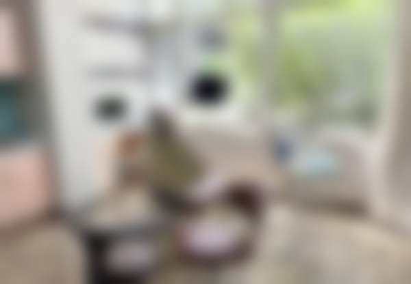 石家庄永齐口腔医院(新华店)医院开展项目