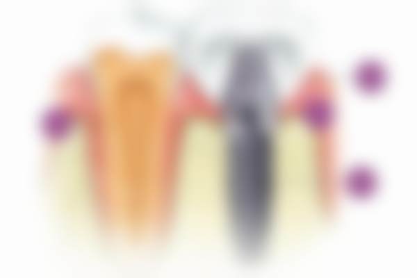 银川市金凤区优诺齿科口腔诊所宁安宜居店医院卫健委资质