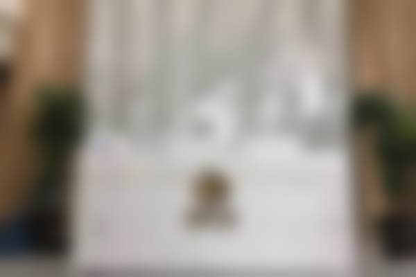 成都简阳核桃口腔门诊部(三岔店)医院开展项目