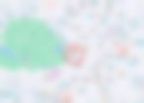 鹏爱悦己医疗美容门诊部张永新医生擅长项目