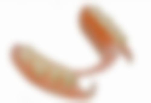 江南大学附属医院皮肤科张佳音医生口碑评价