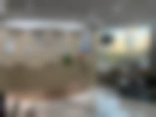 德国威兰德全瓷冠的生物相容性