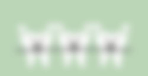 江苏南京春树诊所口腔医院医生团队