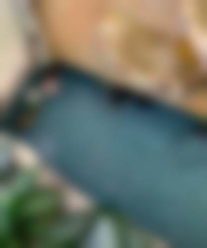 东莞固德口腔门诊部（万达广场分院）医院开展项目