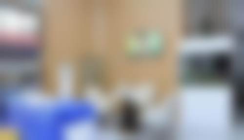上海谷提斯口腔门诊部医院预约方式