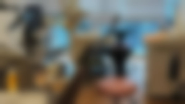 成都多乐儿童齿科门诊部医院项目价格