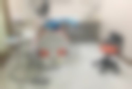 深圳韦博口腔连锁(下沙店)医院项目价格