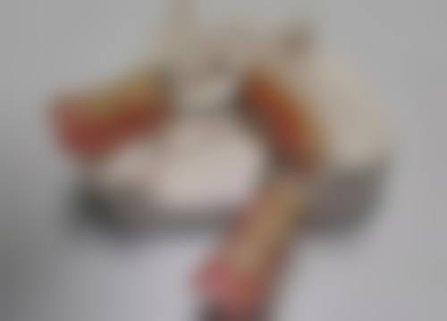 兴化陈友伟口腔医院开展项目